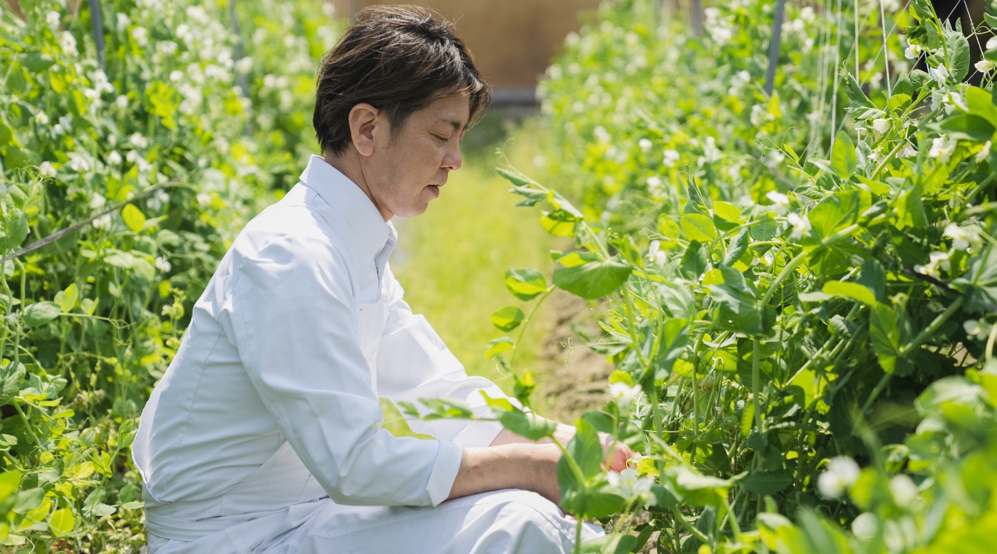Kanji Kobayashi serving a gastronomic dish and a bottle og La Grande Dame 2015